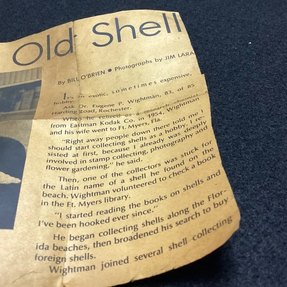 Rare XL Vintage Florida SEA SHELL. HISTORY ARTICLE TOO HELMET SHELL OLD !!! - Picture 6 of 11